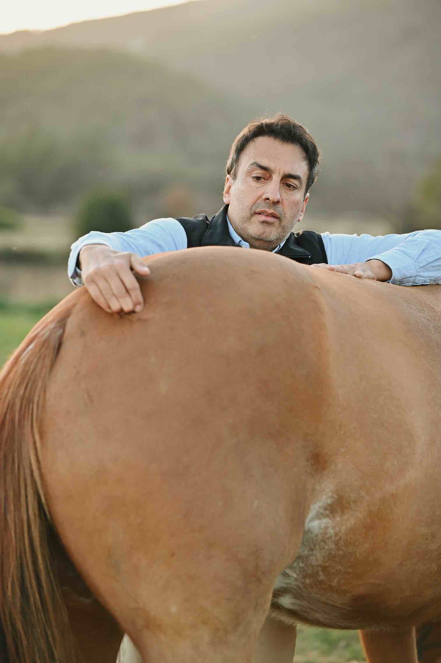 Caballo 1